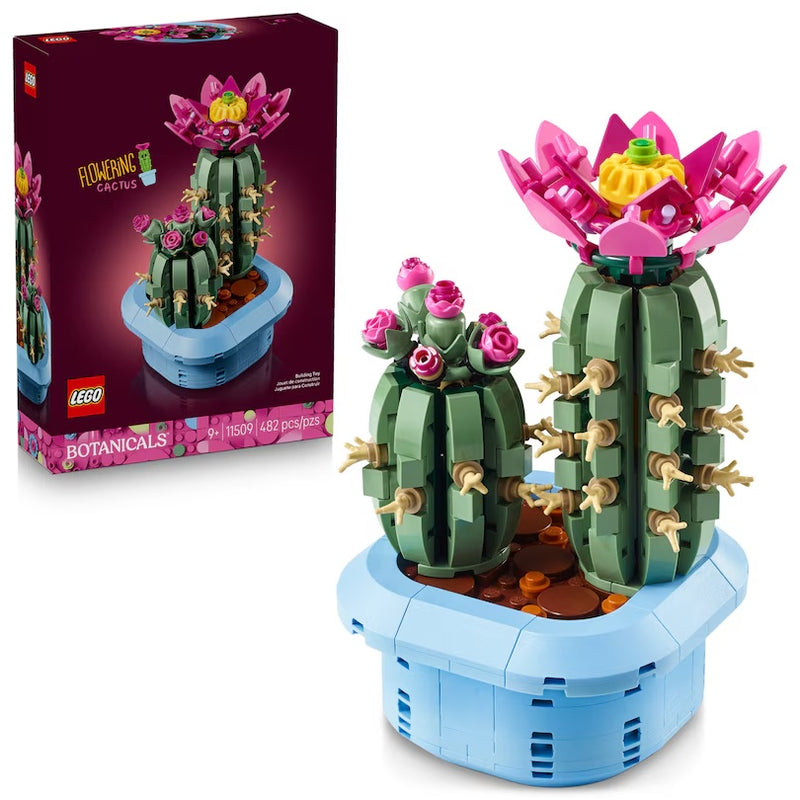 Flowering Cactus 11509