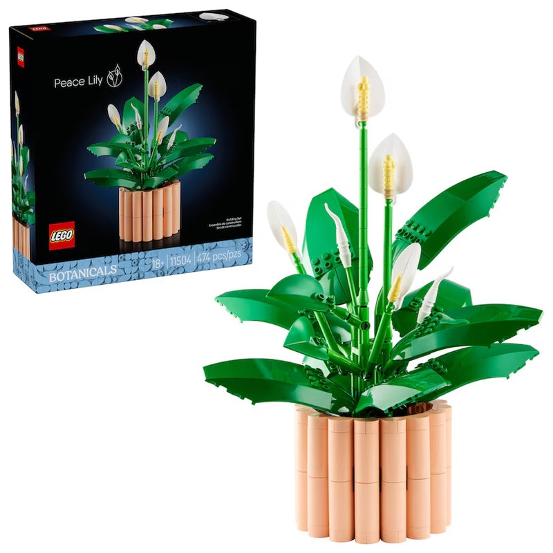 Peace Lily 11504