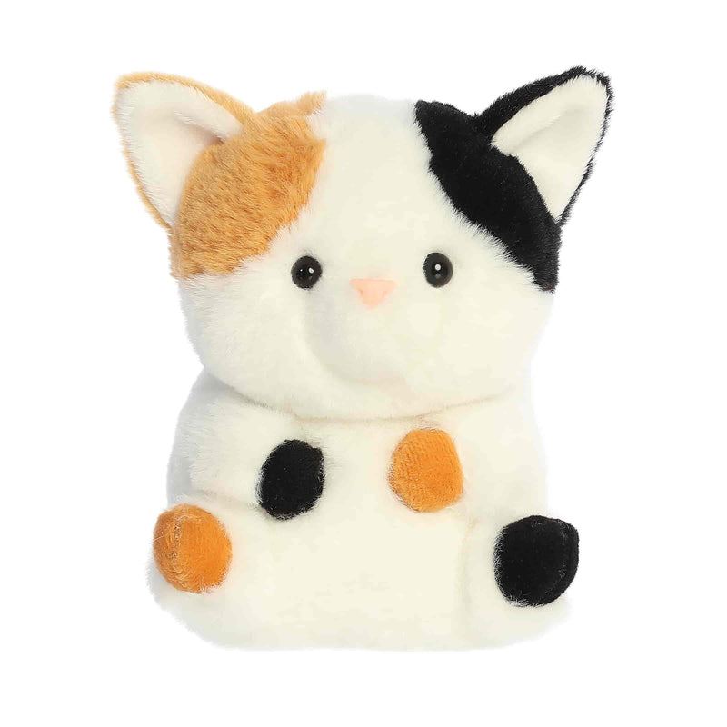 RPETS-Caroline Calico Cat 5