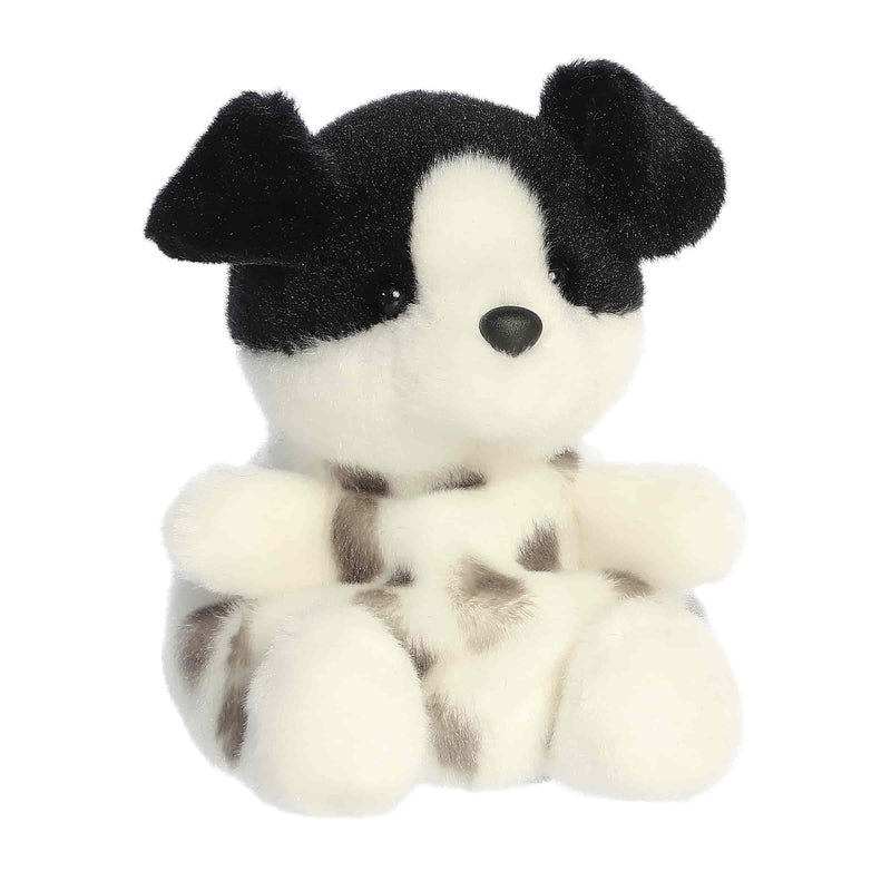 PPALS- Snorkels B&W Dog 5