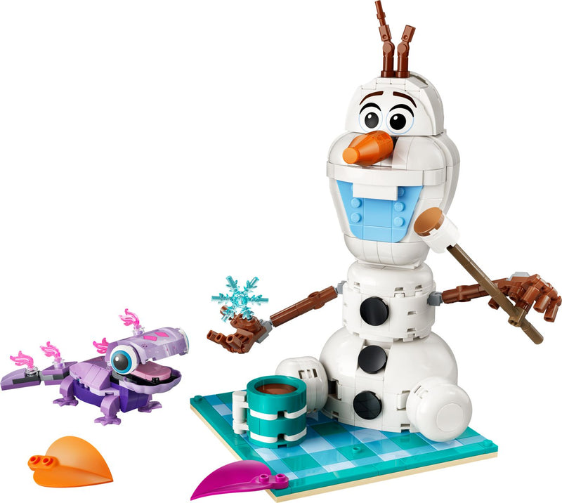 Olaf and Bruni’s Picnic Fun 43287