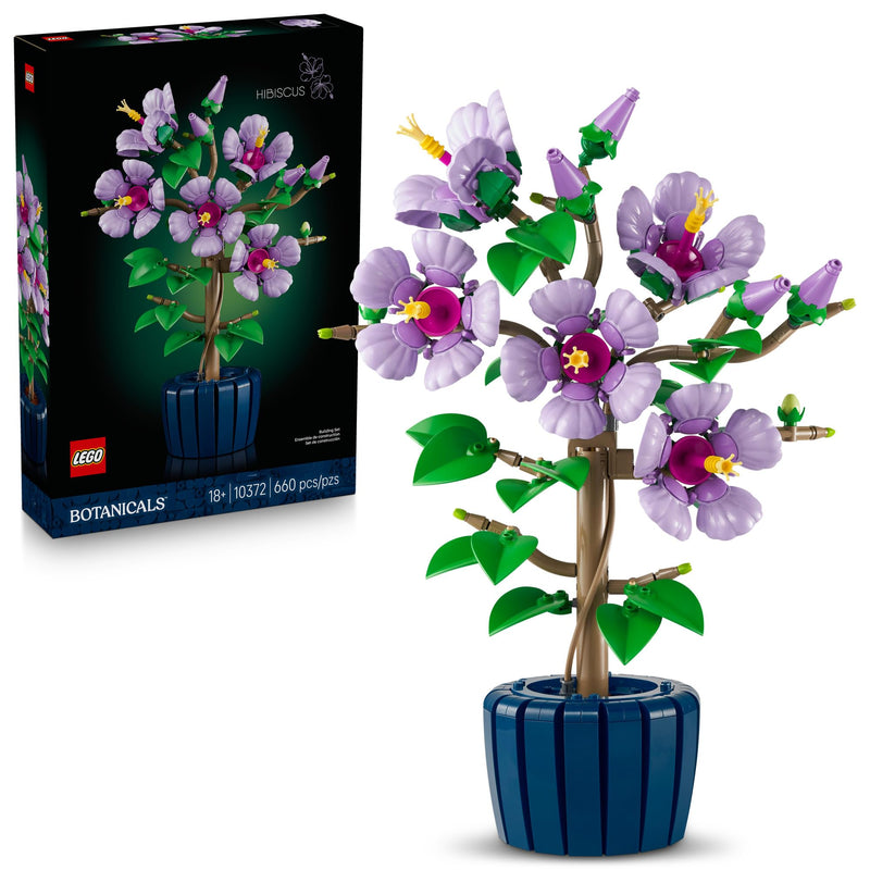 Hibiscus-10372