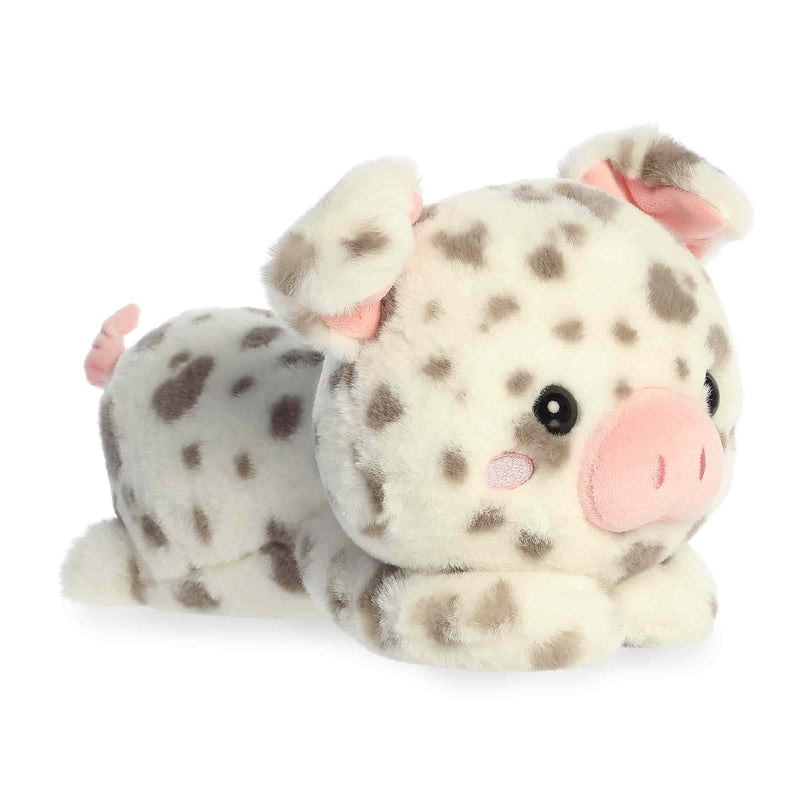 Too Cute Spence Spotted Pig