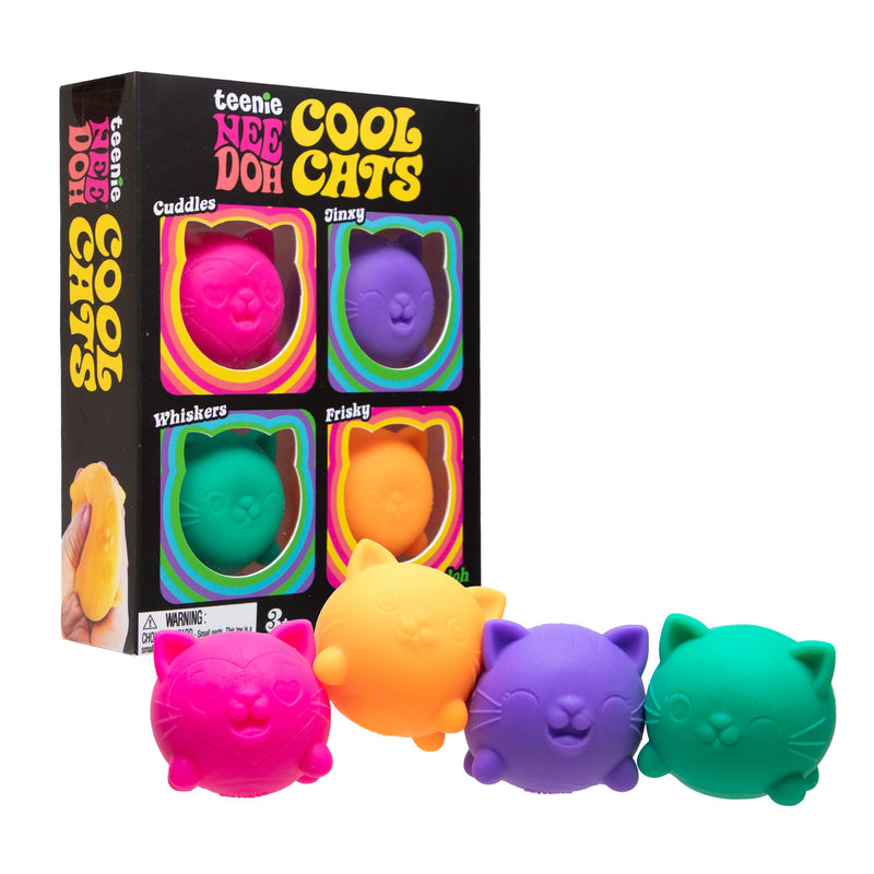 Teenie Cool Kittens Nee Doh Multi Pack (IN-STORE ONLY)