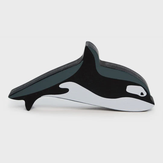 Polar Animals-Orca