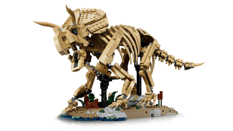 Dinosaur Fossils: Triceratops 77985