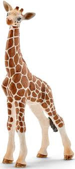 Giraffe Calf