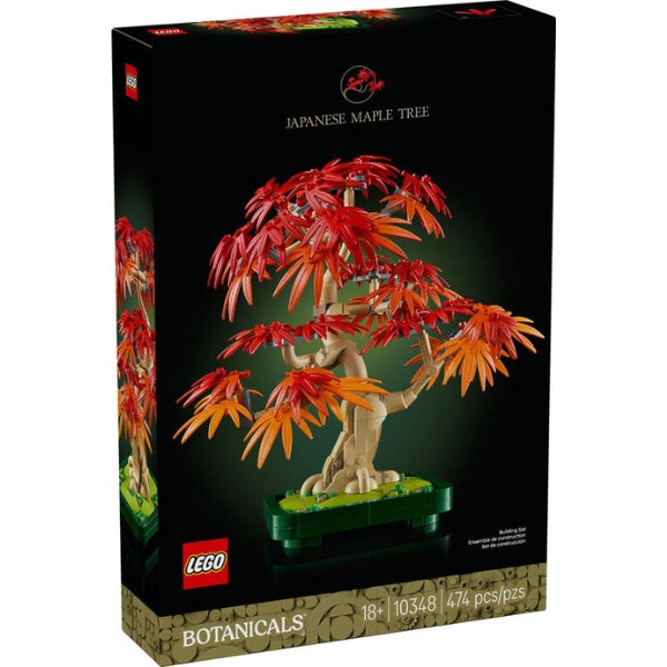 Japanese Red Maple Bonsai Tree-10348