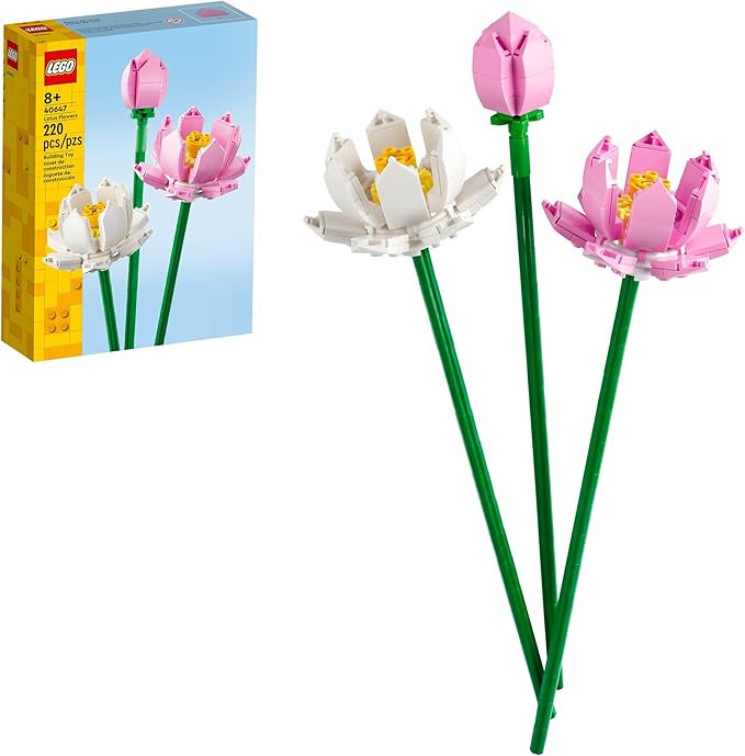Lotus Flowers - 40647