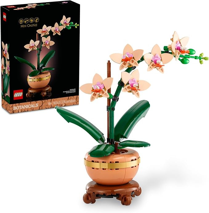 Mini Orchid - 10343