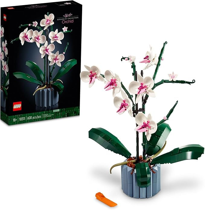 Orchid - 10311