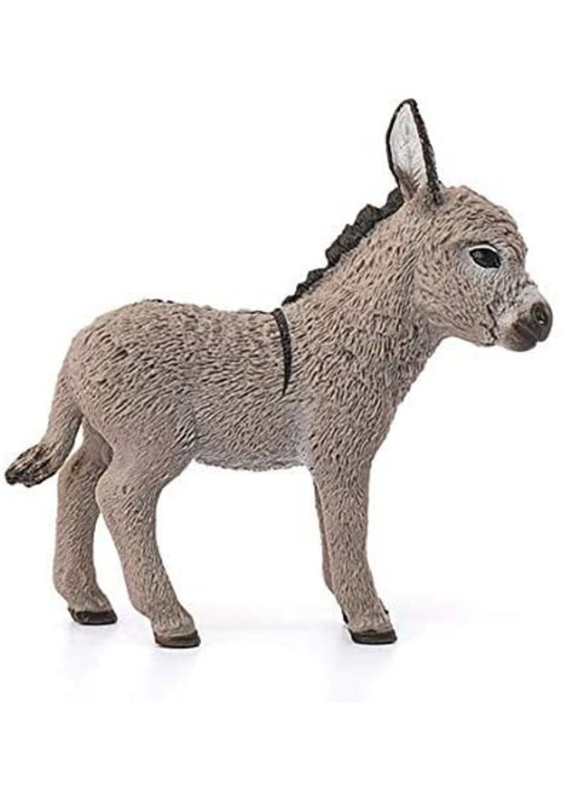 Donkey Foal