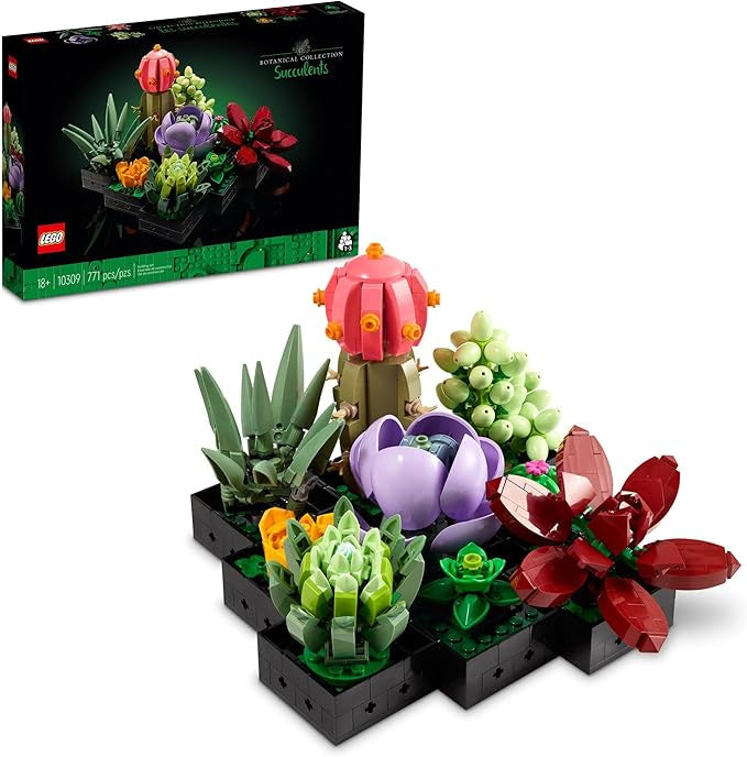 Succulents - 10309
